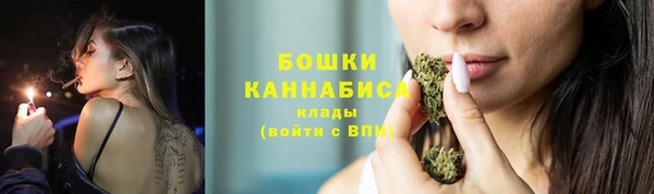 PSILOCYBIN Лагань