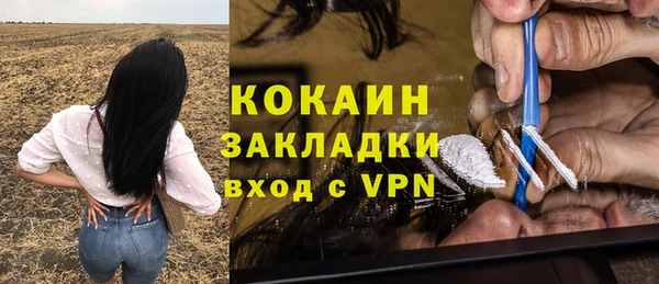 PSILOCYBIN Лагань