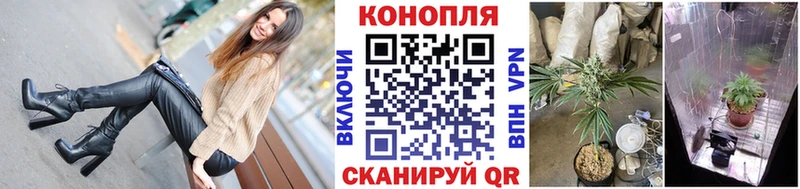 Каннабис Amnesia Кяхта